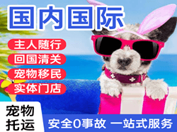 琼海博鳌机场货运国际宠物托运 【国